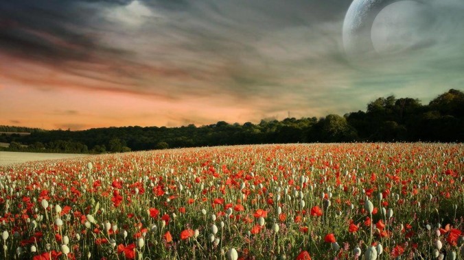 35岁不想奋斗只想躺平怎么办？